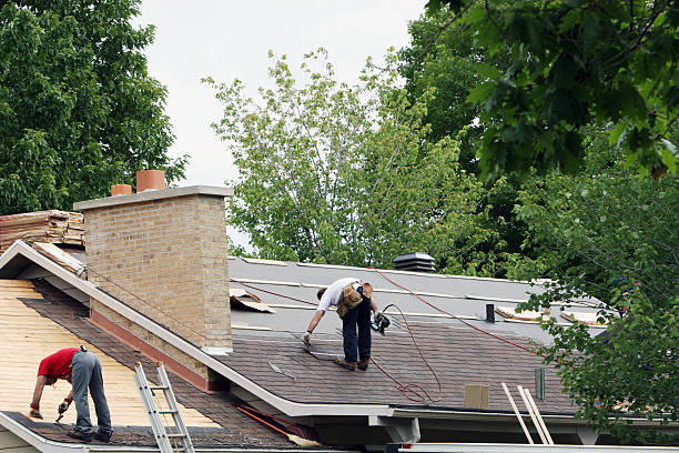 Best Roof Gutter Cleaning  in Stem, NC