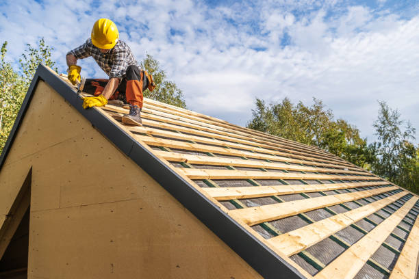 Best Roof Restoration Services  in Stem, NC
